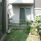 bedfore：玄関側から見た庭